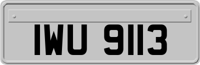 IWU9113