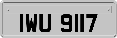 IWU9117