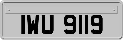 IWU9119