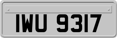 IWU9317