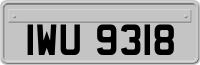 IWU9318