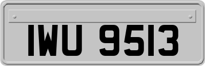 IWU9513
