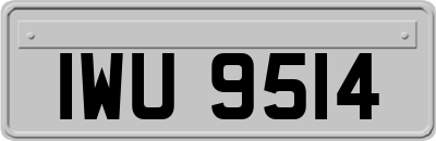 IWU9514