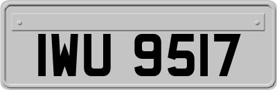 IWU9517
