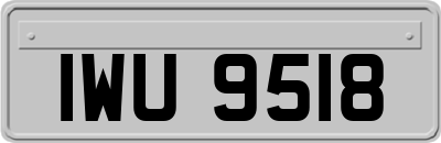 IWU9518