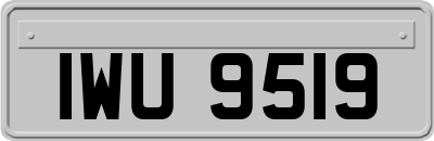 IWU9519