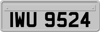 IWU9524