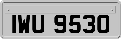 IWU9530
