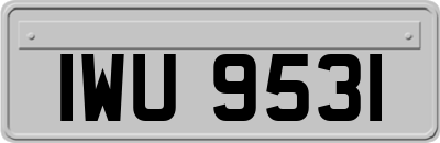 IWU9531