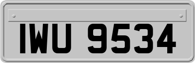IWU9534
