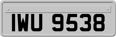 IWU9538