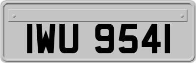 IWU9541