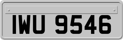 IWU9546