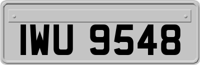 IWU9548