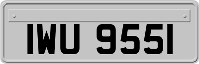 IWU9551