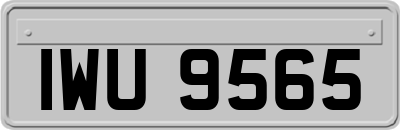 IWU9565