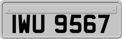 IWU9567
