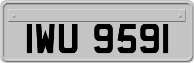 IWU9591