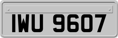 IWU9607