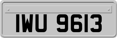 IWU9613