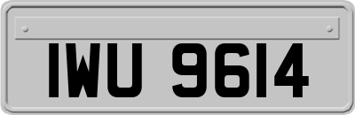 IWU9614