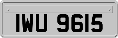 IWU9615