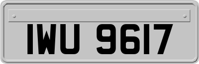 IWU9617