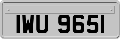 IWU9651