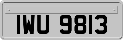 IWU9813
