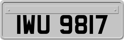 IWU9817