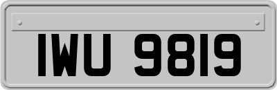 IWU9819