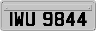 IWU9844