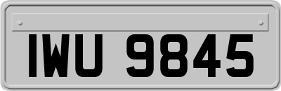 IWU9845