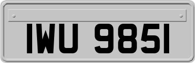 IWU9851