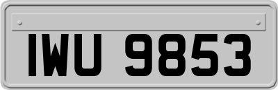 IWU9853