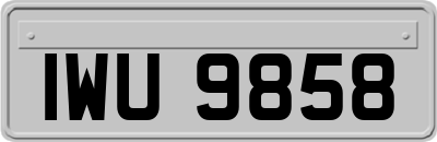 IWU9858