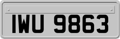 IWU9863
