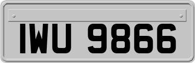 IWU9866
