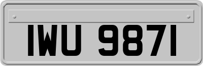 IWU9871