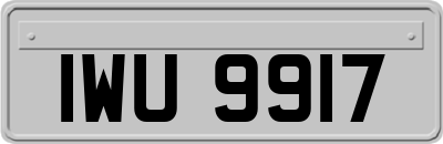 IWU9917
