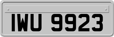 IWU9923