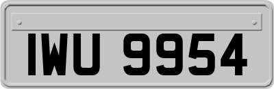 IWU9954