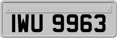 IWU9963