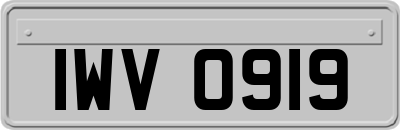IWV0919