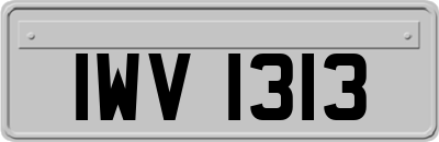 IWV1313