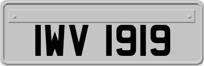 IWV1919