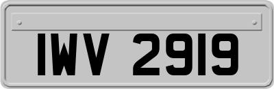 IWV2919
