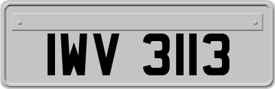 IWV3113