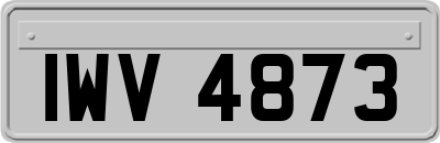 IWV4873
