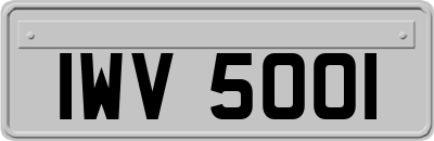 IWV5001